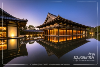 Kagoshima Japan Photo Workshop