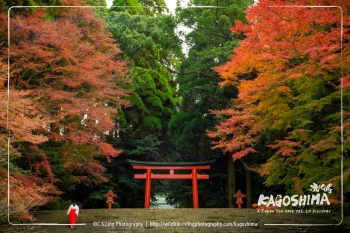 Kagoshima Japan Photo Workshop